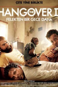 Felekten Bir Gece 2 İzle